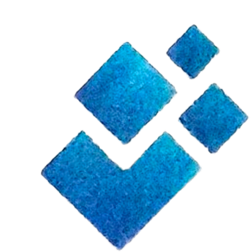 Business Images Solutions logo