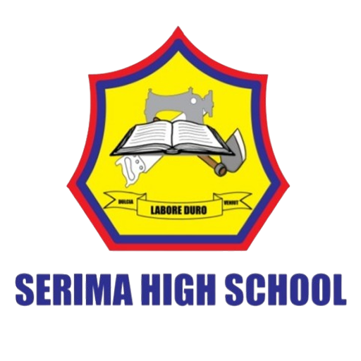 School or corporate partner logo 2