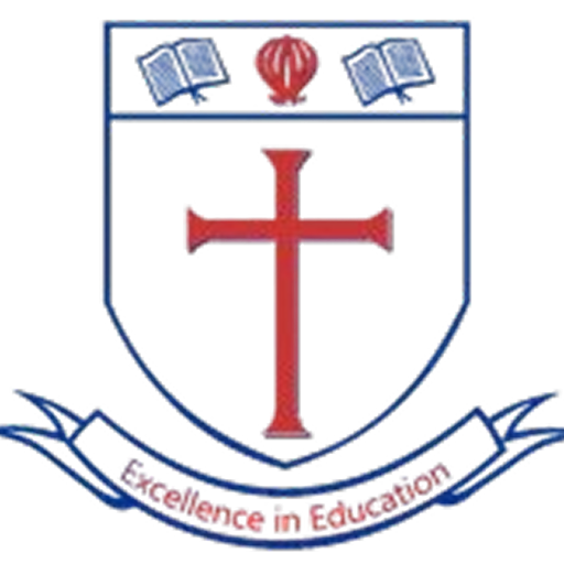 School or corporate partner logo 6